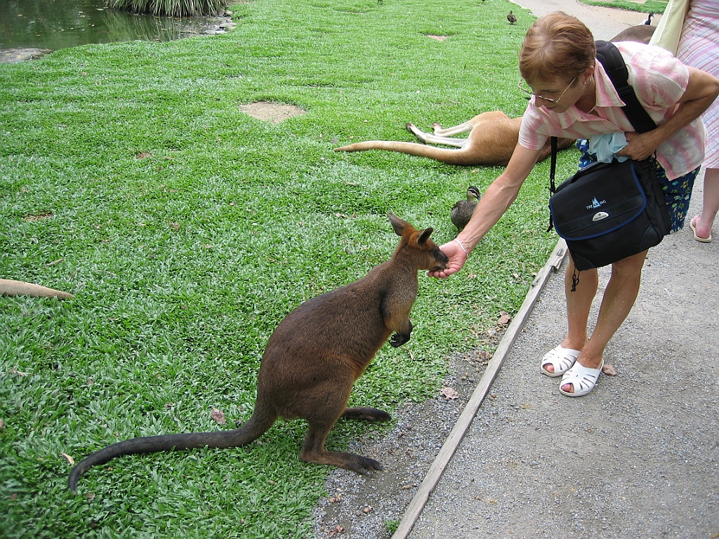 111 Port Douglas Wildlife Habitat.jpg